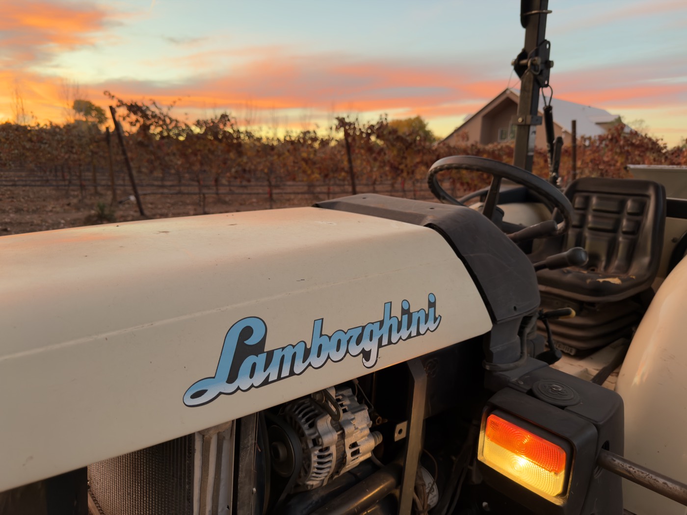 Lamborghini tractor in the vineyard at sunset